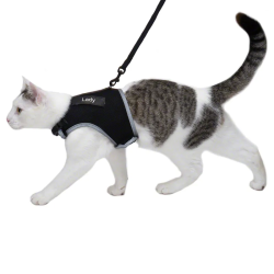 Trixie Harnais + Laisse XCat