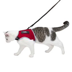 Trixie Harnais + Laisse XCat